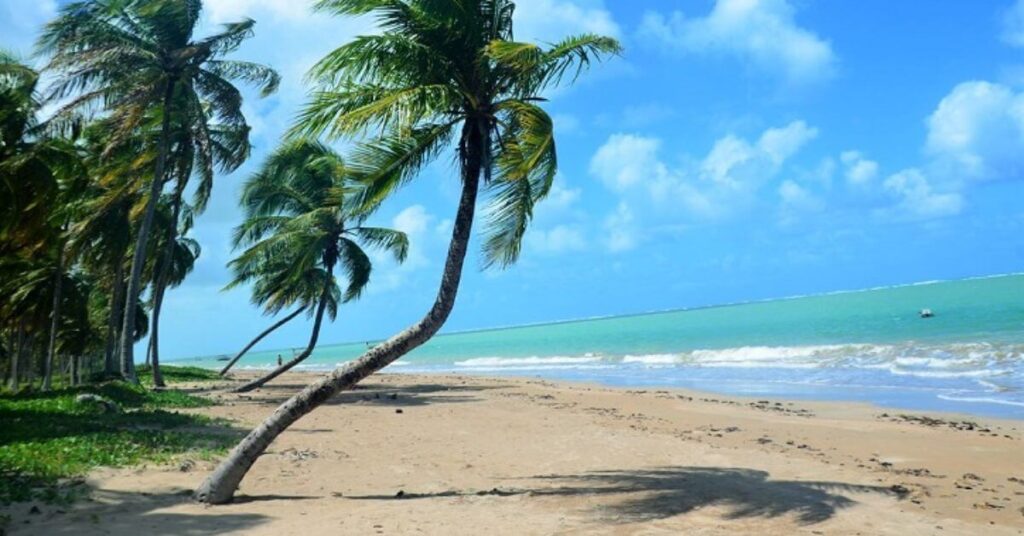 Costa Rica: o sonho de todo amante de praia